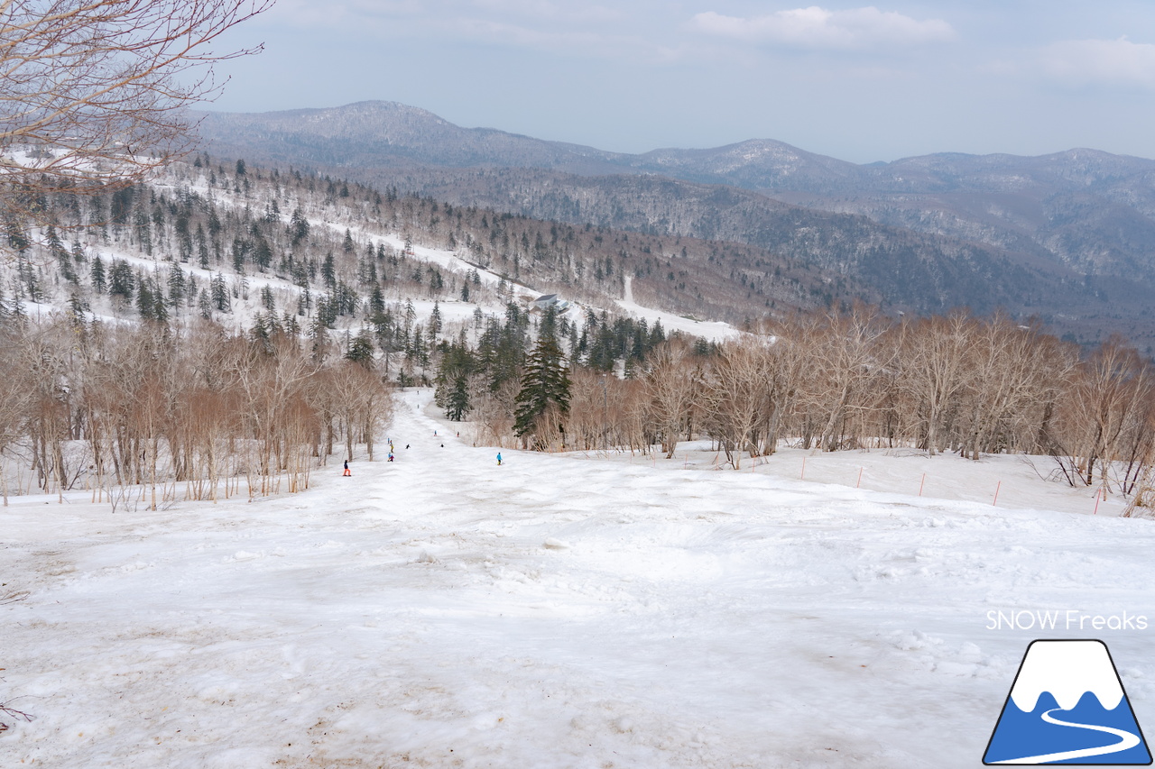 札幌国際スキー場｜2023・ゴールデンウィークがスタート！心配された雪ですが…。大丈夫、ちゃんと残ってくれました(^_-)-☆